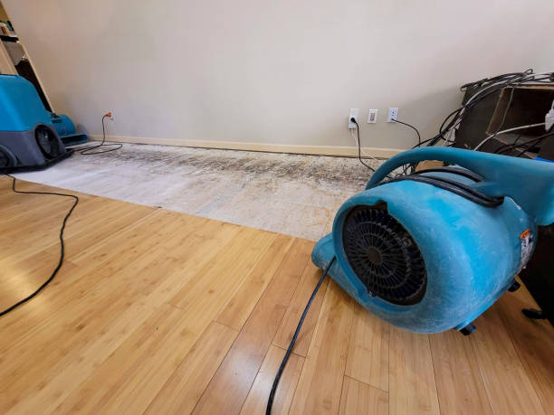 Professional Water Damage Repair technician working in Murphy, MO
